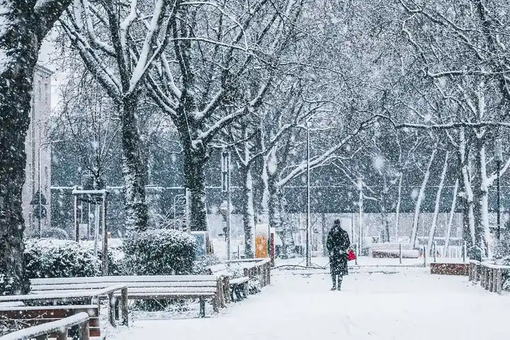 A person walks through a snowy urban park, surrounded by snow-covered trees during daylight.