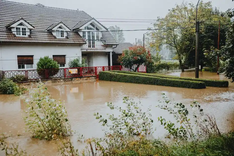 Dehumidification Services