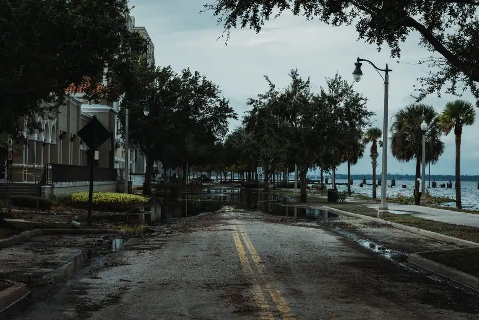 Our Expertise in Storm Damage Restoration
