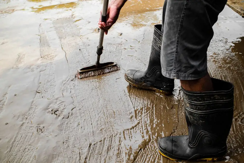 Dehumidification Services by Provo Water Damage Pros